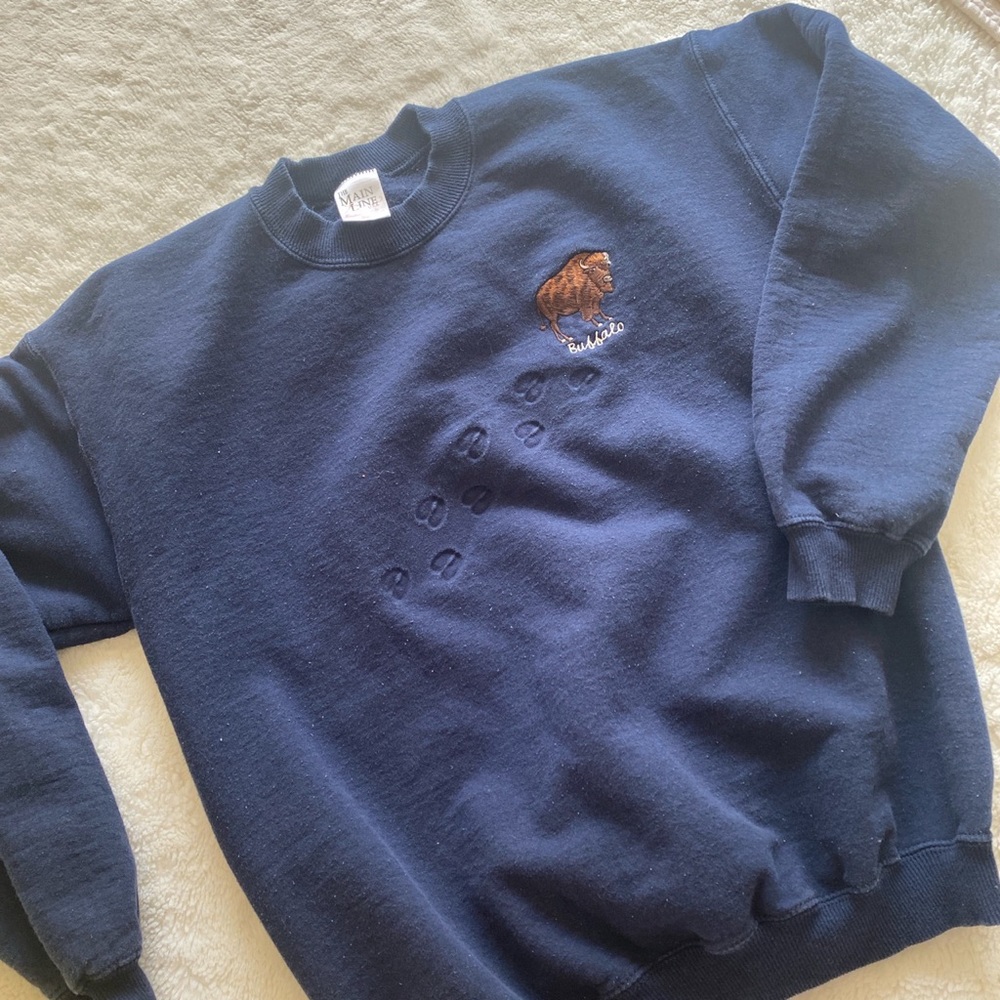 Buffalo Ny - image 1